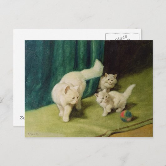 Weiße persische Katze mit zwei Kätzchen Postkarte (Vorne/Hinten)