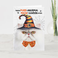 Weiße persische Katze PURRanormales MEOWolween