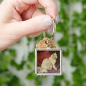Weiße persische Katze Schlüsselanhänger (Hand)