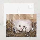 Weiße persische Katze Weihnachten (Vorne/Hinten)