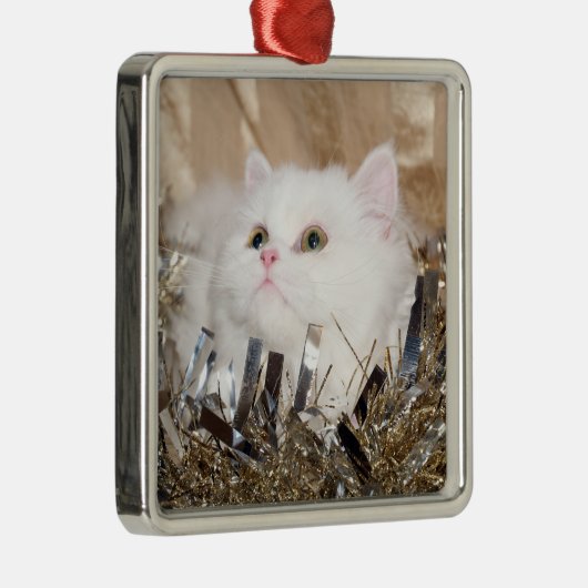 Weiße persische Katze Weihnachten Silbernes Ornament (Rechts)