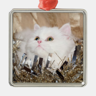 Weiße persische Katze Weihnachten Silbernes Ornament