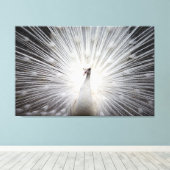 Weiße Pfaue auf Premium geflochtenen Canvas (Glanz Leinwanddruck (Insitu (Holzboden))