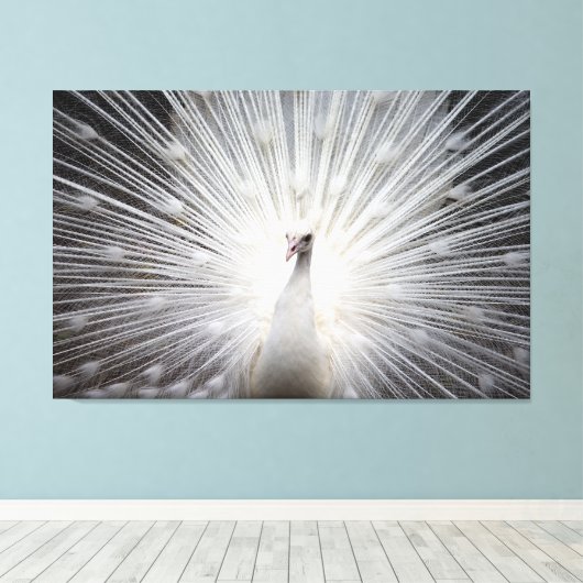 Weiße Pfaue auf Premium geflochtenen Canvas (Glanz Leinwanddruck (Insitu (Holzboden))