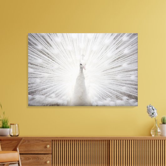 Weiße Pfaue Leinwanddruck (Insitu (Wohnzimmer))