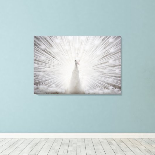 Weiße Pfaue Leinwanddruck (Insitu (Holzboden))