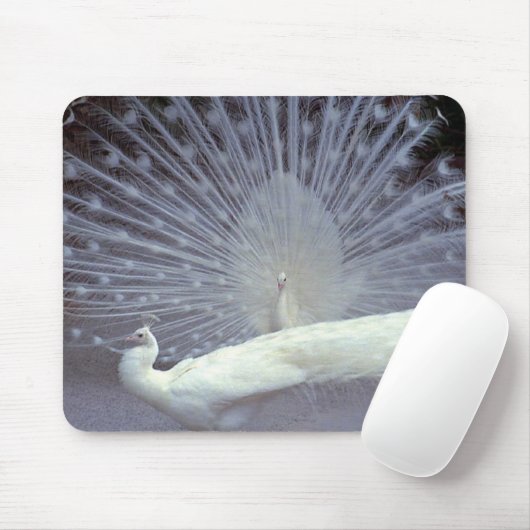 Weiße Pfaus Mousepad (Mit Mouse)