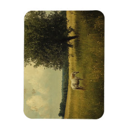 Weiße Pferde auf einem Feld Magnet