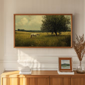 Weiße Pferde auf einem Feld Poster