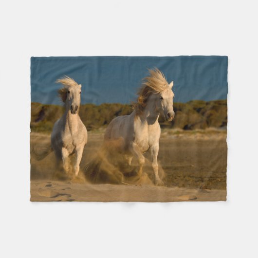 Weiße Pferde, die auf Strand | Camargue, Fleecedecke (Vorderseite (Horizontal))