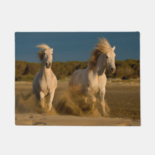 Weiße Pferde, die auf Strand Camargue, Fußmatte