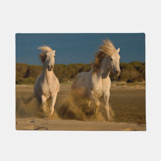 Weiße Pferde, die auf Strand | Camargue, Fußmatte (Vorderseite)