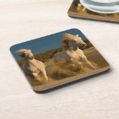 Weiße Pferde, die auf Strand | Camargue, Getränkeuntersetzer (Linke Seite)