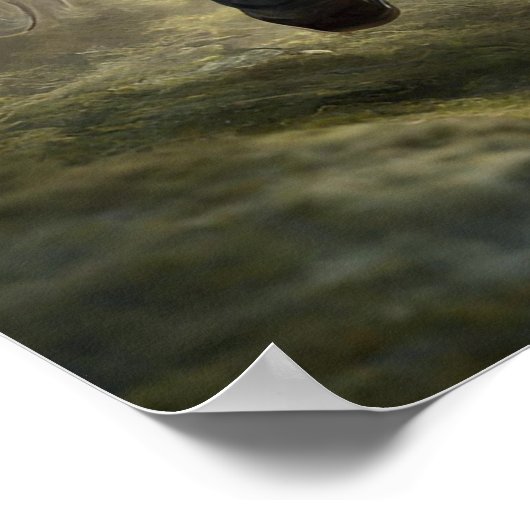 Weiße Pferde, die im Waldposter laufen Poster (Ecke)