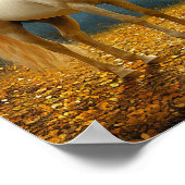 Weiße Pferde Herbstwald Landschaft Romantisch Poster (Ecke)