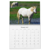 WEISSE PFERDE KALENDER (Jan 2027)