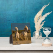 Weiße Pferde laufen am Strand | Camargue, Frankrei Fotoplatte (InSitu)