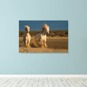 Weiße Pferde laufen am Strand | Camargue, Frankrei Leinwanddruck (Insitu (Holzboden))