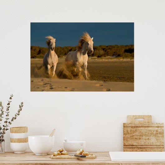 Weiße Pferde laufen am Strand | Camargue, Frankrei Poster (Küche)