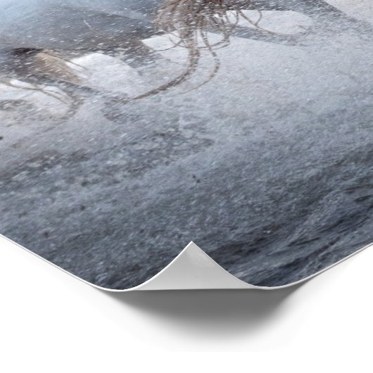 Weiße Pferde Poster (Ecke)