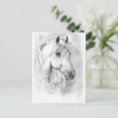 Weiße Pferde Postkarte (Stehend Vorderseite)