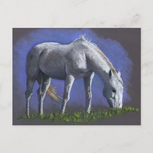WEISSE PFERDE: REALISMUS FARBE PENCIL POSTKARTE (Vorderseite)