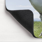 Weiße Pferde springen auf der Wiese Mousepad (Ecke)