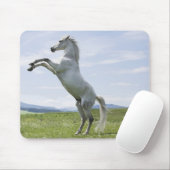Weiße Pferde springen auf der Wiese Mousepad (Mit Mouse)