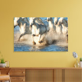 Weiße Pferde von Camargue, Frankreich Leinwanddruck (Insitu (Wohnzimmer))