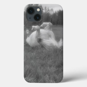 Weiße Pferderollen im B&W-Foto im Gras auf der BC  iPhone 13 Hülle