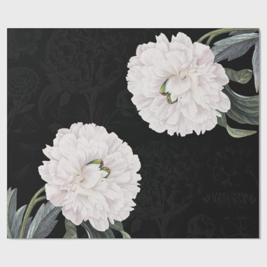 weiße Pfingstrosenschwarzspitze Geschenkpapier (Flach)