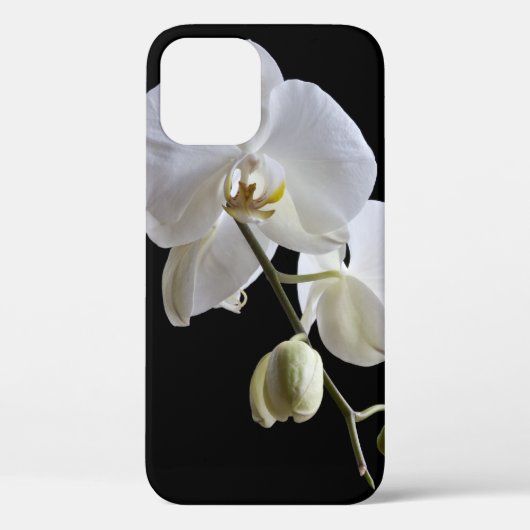 Weiße Phalaenopsis Orchid auf schwarz Case-Mate iPhone Hülle (Rückseite)