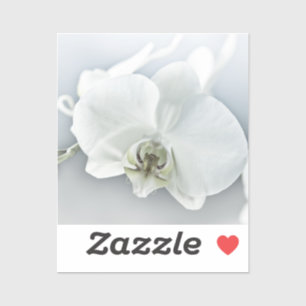 Weiße Phalaenopsis-Orchidee Aufkleber