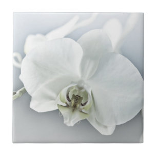 Weiße Phalaenopsis-Orchidee Fliese