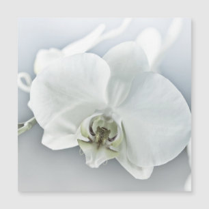 Weiße Phalaenopsis-Orchidee Magnetkarte