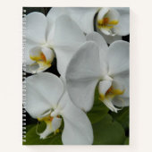 Weiße Phalaenopsis-Orchideen Blumen Notizbuch (Vorderseite)