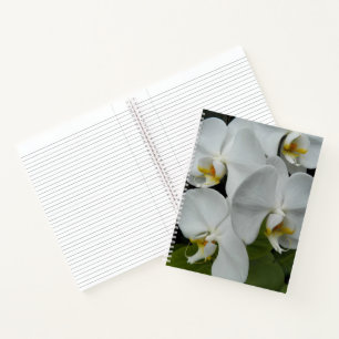 Weiße Phalaenopsis-Orchideen Blumen Notizbuch