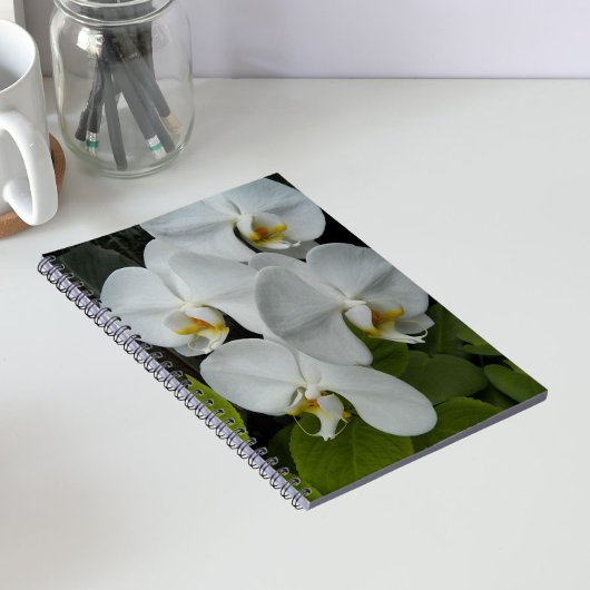 Weiße Phalaenopsis Orchius florale Notizblock