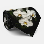 Weiße Phalaenopsisorchideen Krawatte (Gerollt)