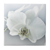 Weiße Phaleonopsis Orchid Fliese (Vorderseite)