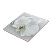 Weiße Phaleonopsis Orchid Fliese (Seite)