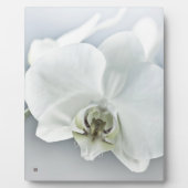 Weiße Phaleonopsis Orchid Fotoplatte (Vorderseite)