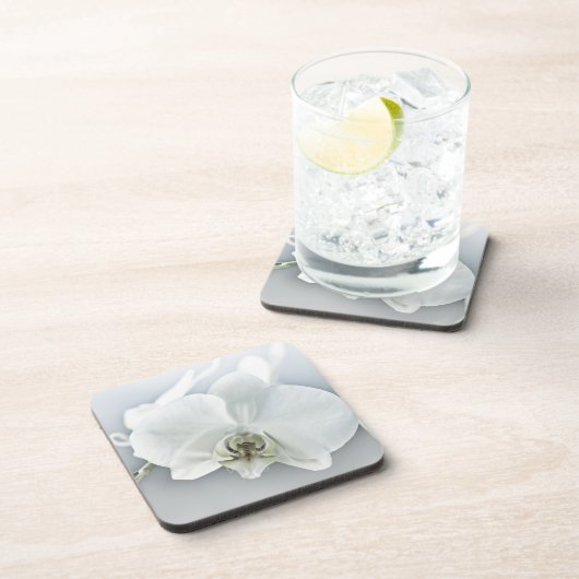 Weiße Phaleonopsis Orchid Getränkeuntersetzer (Rechte Seite)