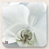 Weiße Phaleonopsis Orchid Getränkeuntersetzer (Vorderseite)