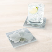 Weiße Phaleonopsis Orchid Glasuntersetzer (Schrägansicht)