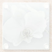 Weiße Phaleonopsis Orchid Glasuntersetzer (Rückseite)