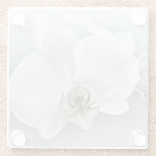 Weiße Phaleonopsis Orchid Glasuntersetzer (Rückseite)