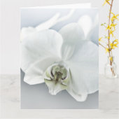 Weiße Phaleonopsis Orchid Karte (Gelbe Blume)