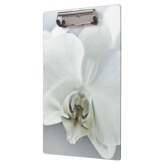 Weiße Phaleonopsis Orchid Klemmbrett (Links)