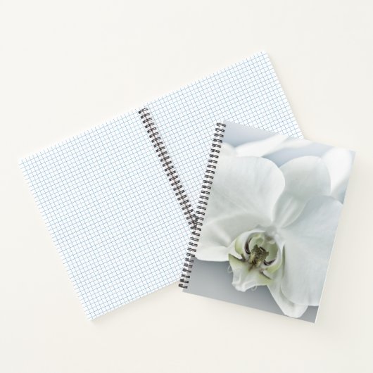 Weiße Phaleonopsis Orchid Notizblock (Innenseite)